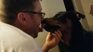 French kissing dog