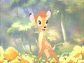 AniMash-