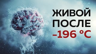 Заморозка И Оживление Мозга: Прорыв В Нейробиологии | Пушка #76