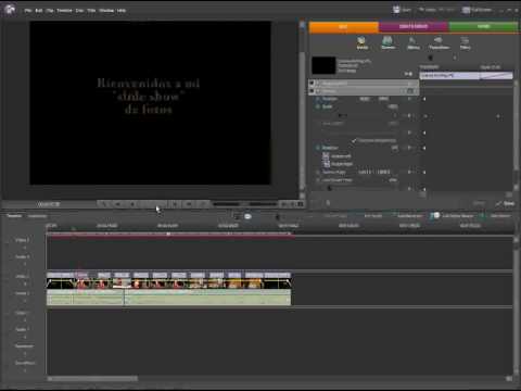 Adobe Premiere Elements Manual Download