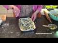 Puff Pastry Spinach and Cheese Pie (Spanakopita) (Lahanopita)