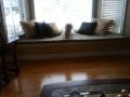 Cute puppy past and present