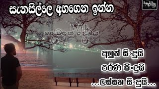 Best Sinhala Song Collection / Hadawathe Ridmaya...