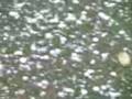 Hail Stones Storm in Gurgaon New Delhi