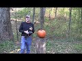 Pumpkin Carving III