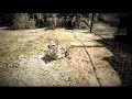 junglemap