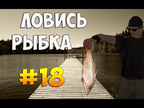 как ловит рыбу в сампе рп как ловит рыбу в сампе рп
