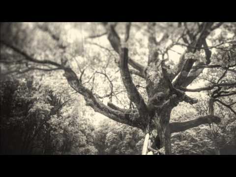 Aake Teri Bahon Mein.. By Ashish Shah ( cover ).