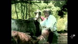 Tempo Menino e Lamento de Sertanejo, por Dominguinhos e Gilberto Gil - Sr. Brasil 28/07/2013 -