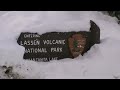 PART ONE, 30 Lb. Class Rainbow Trout - Just Stocked - SARL & Corona Lake - 2/11/10