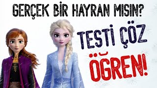 Karlar Ülkesi̇ 2 - Fan Testi̇ - Gerçek Bi̇r Hayran Misin? Bi̇l Bakalim Turkish Moana
