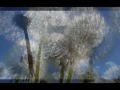 Zucchero & Sinéad O'Connor -