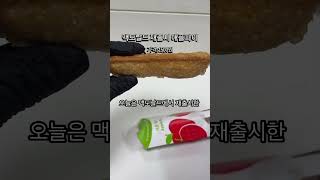 드디어 재출시한 맥도날드 애플파이 1500원짜리 바삭함 미쳤다