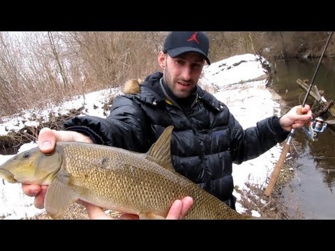 ловля усача видео весной ловля усача видео весной