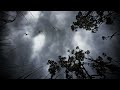 Sunny Lax - Heliotrope (Original Mix) [HD]