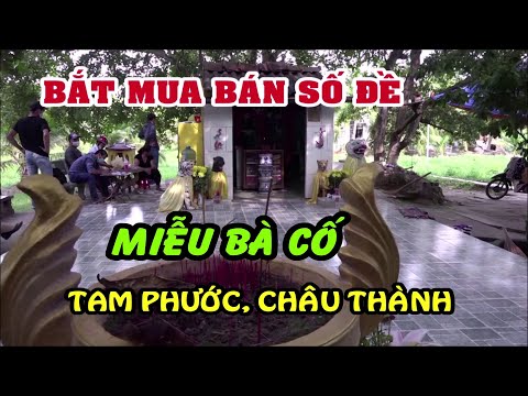 Bắt quả tang mua bán số đề tại ngôi miễu "Bà Cố" ở xã Tam Phước, Châu Thành | Tin Tức Bến Tre