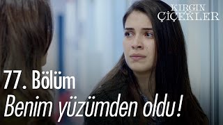 Benim Yüzümden Oldu - Kırgın Çiçekler 77. Bölüm - Atv