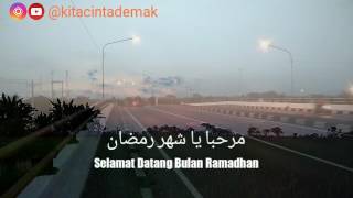 Download lagu Via Vallen Selow