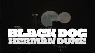 Watch Herman Dune Black Dog video