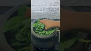 Kashmiri Saag