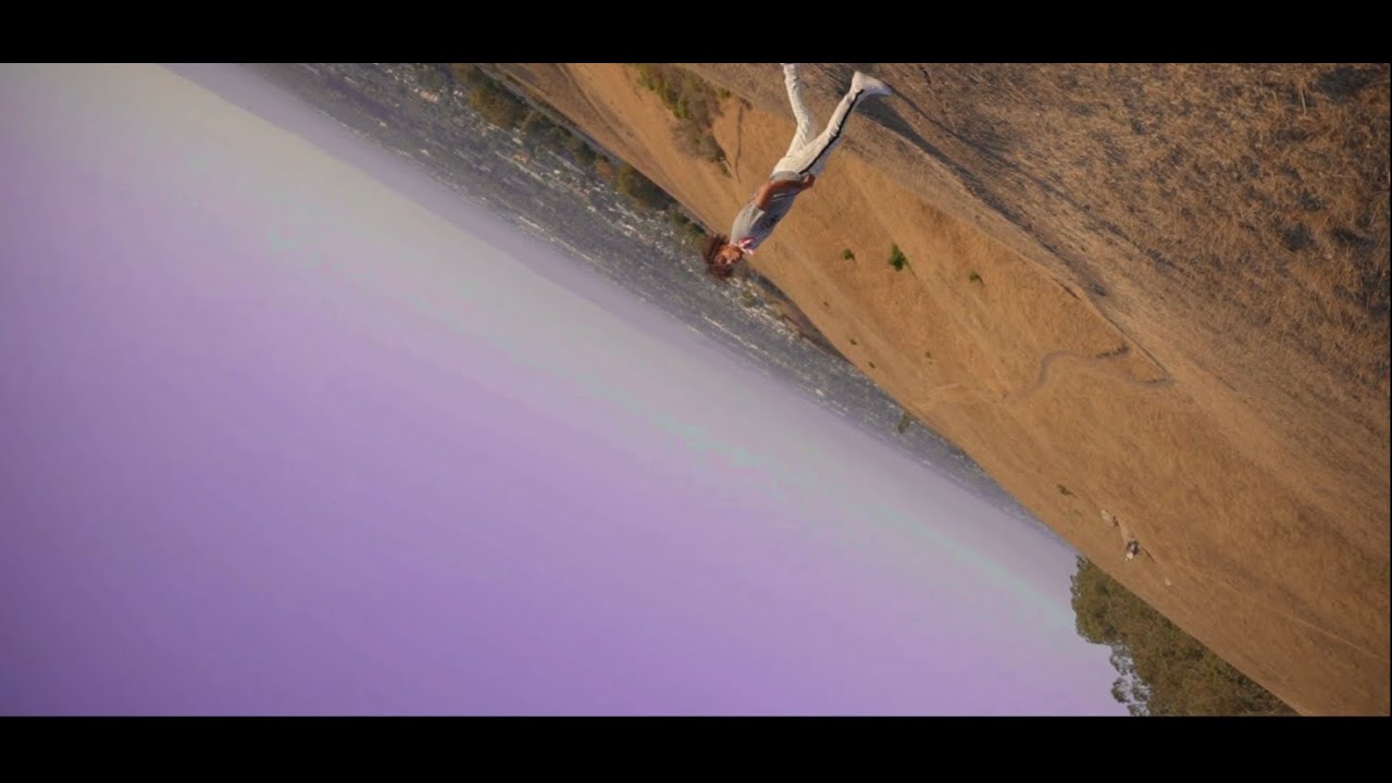 All Videos