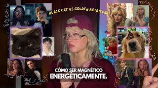 Cómo Dejar De Perseguir Y Empezar A Atraer Black Cat Vs Den Retriever Energy