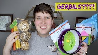 Im Getting New Pets Big Gerbil Haul
