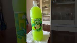 I Just Want To Try This Gabunomimelon