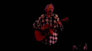 Watch Robyn Hitchcock Agony Of Pleasure video