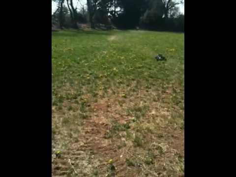 hpi baja 5b 29cc pot dominator v2 avec silenceux