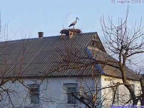 Аист на крыше дома своими руками