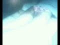 Mov0136a Dr Sumit Spa Mage Hotels Service Mumbai images Mov0136a Dr Sumit Spa Mage Hotels Service Mumbai