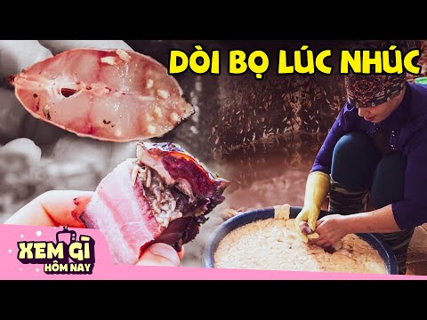 Những Món ăn Việt Nam chứa nhiều K.Ý SINH TR.ÙNG G.hê Rợ.n nhất, Đ.ục T.hủng Da | Xem gì hôm nay