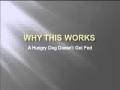 Tips for Making Up with your Boyfriend or Girlfriend after a fight. default Tips for Making Up with your Boyfriend or Girlfriend after a fight.