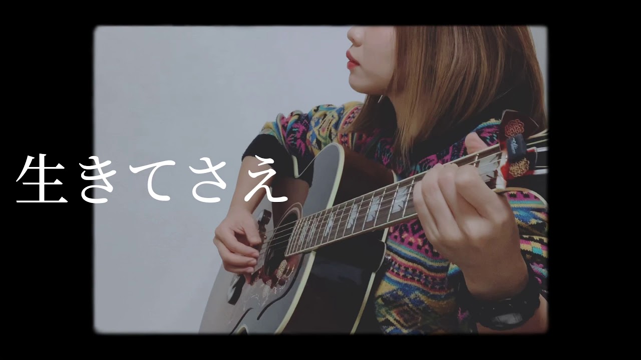 すべての動画