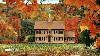 Autumn Leaves Green Screen