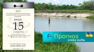 прогноз клева щуки в курахово прогноз клева щуки в курахово