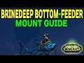BRINEDEEP BOTTOM-FEEDER: Mount Guide (WoW LEGION) !!