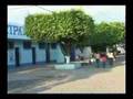 Los Amates Izabal Los Amates Izabal