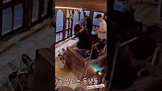 Best Buddy Bts