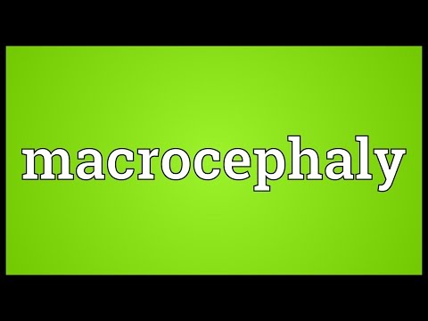 Header of macrocephaly