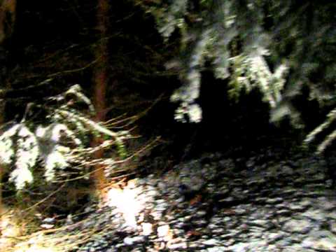 Slovenský kopov - dosled 1