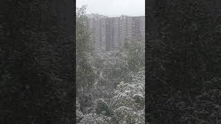 #Москва #Снегопад #7Мая2024