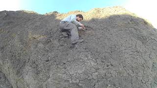 Fossil Collecting Ep 25, Pt 2 Speeton 21.10.18
