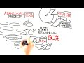 HFI Animate - The ROI of User Experience with Dr. Susan Weinschenk