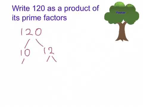 Write a number as a product of prime numbers