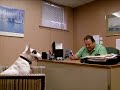 Hump Day Commercial Parody images Hump Day Commercial Parody
