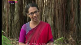 2020-05-10 | Nethra TV Tamil News 7.00 pm