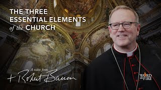 Bishop Barron on the Three Essential Elements of the Church