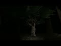 SLENDER!』手電筒遊戲!